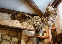 Сауна «Семь пятниц»