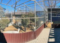 Банный комплекс «Пегас» Premium Hall