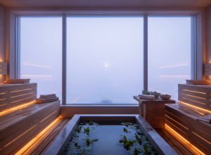 От посиделок в бане до SPA-девичника с видом на белую ночь