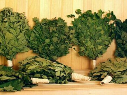 Виды банных веников: берёзовый, дубовый, эвкалиптовый, можжевеловый и другие