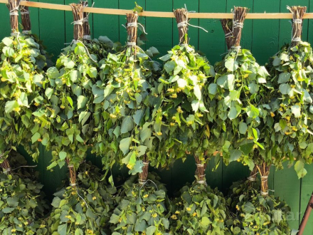 Сколько служит веник и как его хранить: подробное руководство для любителей бани