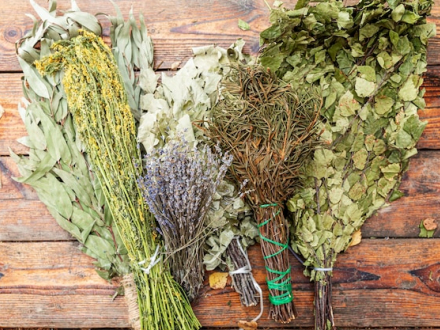 Экзотические веники: крапивный, полынный, эвкалиптовый