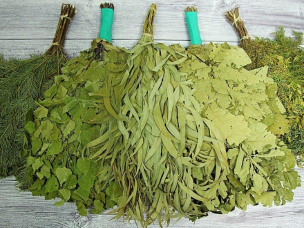 Как выбрать веник: по листу, по аромату, по жёсткости