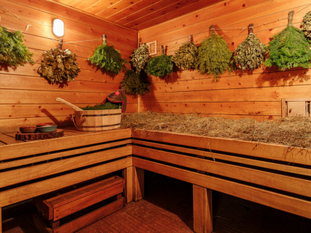 Режимы бани: лёгкий пар, экстремальный пар, «по‑чёрному» и другие