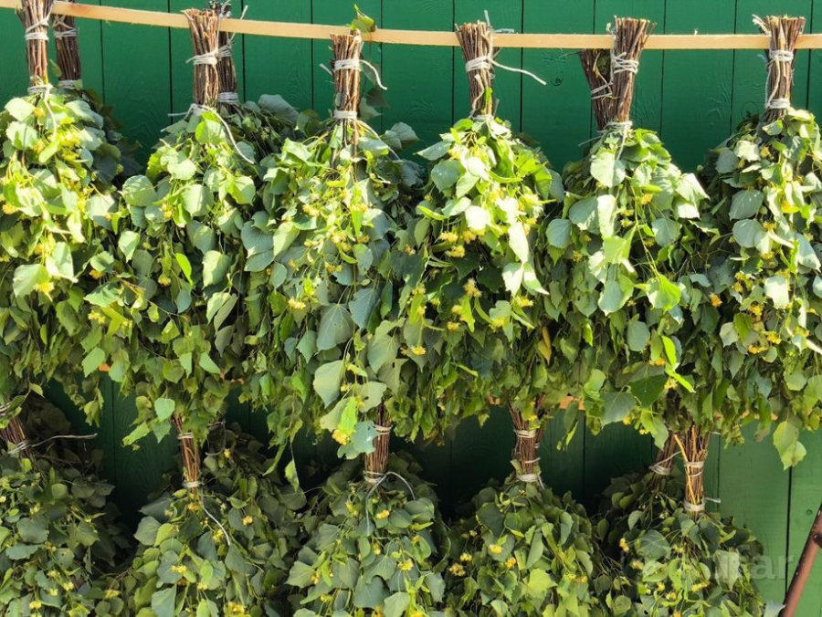 Сколько служит веник и как его хранить: подробное руководство для любителей бани Сколько служит веник и как его хранить: подробное руководство для любителей бани