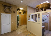 Сауна Буль Буль Уфа, на Бакалинской, 11